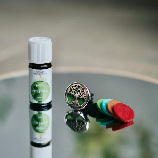 Araç Difüzörü - P 1005